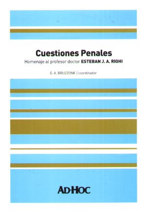 CUESTIONES PENALES