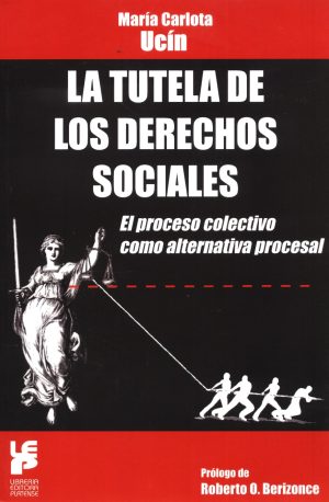 TUTELA DE LOS DERECHOS SOCIALES LA
