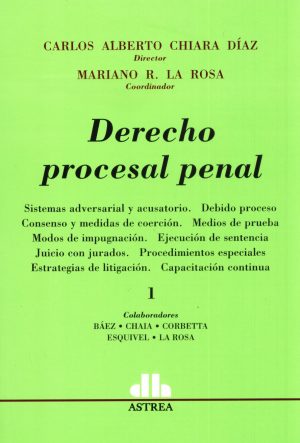 DERECHO PROCESAL PENAL 2TS