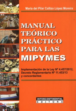 MANUAL TEORICO PRACTICO PARA LAS MIPYMES