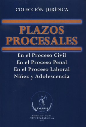 PLAZOS PROCESALES