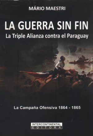 GUERRA SIN FIN LA GUERRA OFENSIVA 1864 - 1865