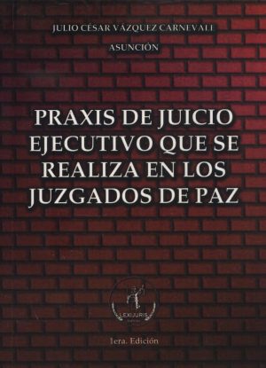 PRAXIS DE JUICIO EJECUTIVO QUE SE REALIZA EN