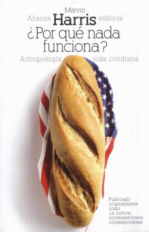 POR QUE NADA FUNCIONA