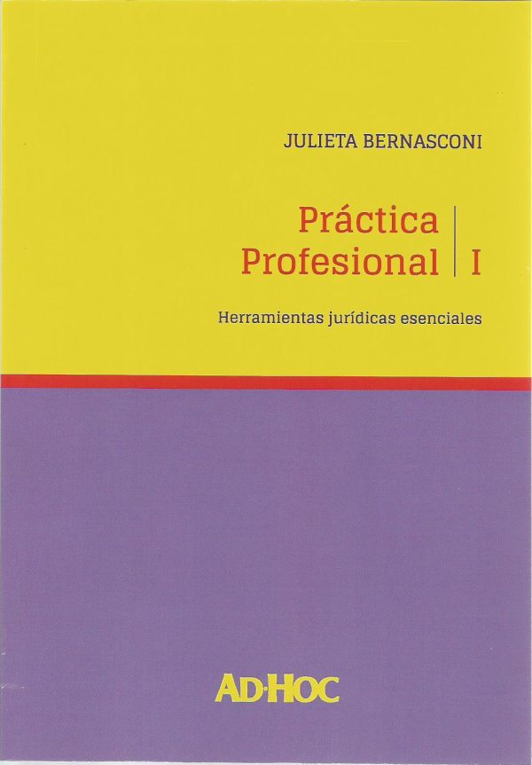 PRACTICA PROFESIONAL I