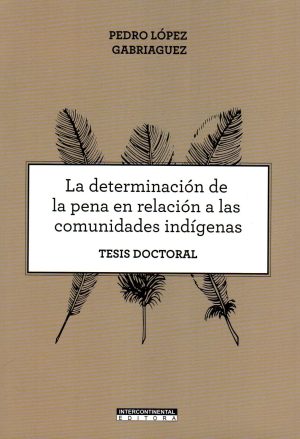 DETERMINACION DE LA PENA EN RELACION A LAS CO