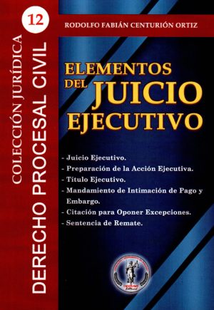ELEMENTOS DEL JUICIO EJECUTIVO