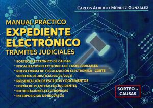 MANUAL PRACTICO EXPEDIENTE ELECTRONICO