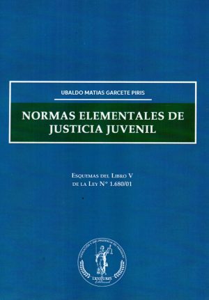 NORMAS ELEMENTALES DE JUSTICIA JUVENIL