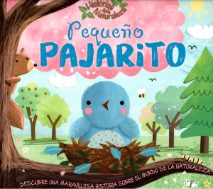 PEQUEÑO PAJARITO