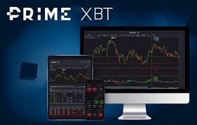 PrimeXBT Login Your Gateway to Crypto Trading